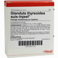 Glandula Thyreoidea Suis- Injeel Ampullen 10 Stück - ab 21,47 €