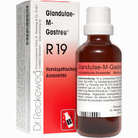 Glandulae- M- Gastreu R19 Tropfen 50 ml