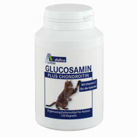 Glucosamin+chondroitin Kapseln für Katzen  60 Stück - ab 10,95 €