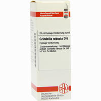 Grindelia Robusta D6 Dilution 20 ml - ab 8,62 €