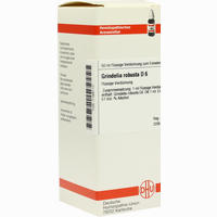Grindelia Robusta D6 Dilution 20 ml - ab 8,62 €