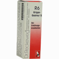 Grippe- Gastreu S R6 Tropfen 22 ml - ab 6,40 €