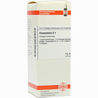Hamamelis D 1 Dilution 20 ml - ab 7,93 €