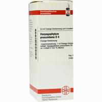 Harpagophytum Proc D4 Dilution 50 ml