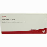 Hirnstamm Gl D15 Ampullen 10 x 1 ml