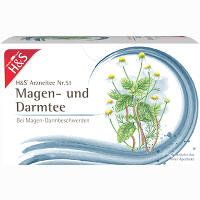 H&s Magen- und Darmtee 20 x 2.0 g