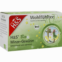 H&s Wintertee Bio Minze- Gewürze 20 x 2.0 g