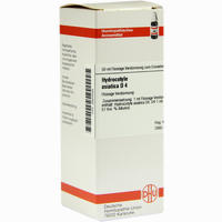 Hydrocotyle Asiatica D4 Dilution 50 ml