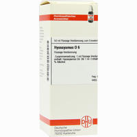 Hyoscyamus D6 Dilution 20 ml - ab 7,26 €