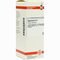 Hypericum D12 Dilution 20 ml - ab 7,21 €
