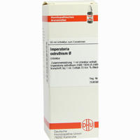 Imperatoria Ostr Urtinktur Dilution 50 ml