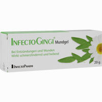 Infectogingi Mundgel Gel 6 g - ab 5,65 €