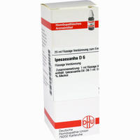 Ipecacuanha D6 Dilution 20 ml - ab 7,49 €