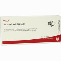 Iscucin Mali Stärke B Ampullen 10 x 1 ml