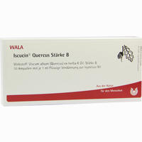 Iscucin Quercus Stärke B Ampullen 10 x 1 ml