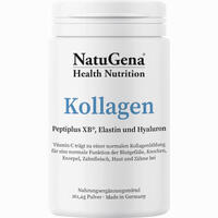 Kollagen + Elastin + Hyaluron + Vitamin C 160.2 g