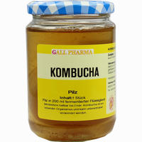 Kombucha Teepilz Hecht-Pharma GmbH 1 Stück
