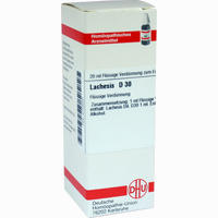 Lachesis D30 Dilution Dhu-arzneimittel 20 ml - ab 7,98 €