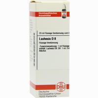 Lachesis D8 Dilution 20 ml - ab 5,43 €