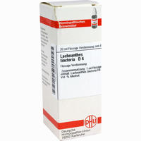 Lachnanthes Tinct D4 Dilution 20 ml