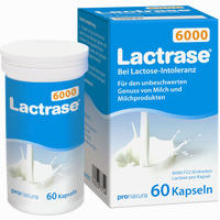 Lactrase 6000 Kapseln 60 Stück - ab 9,99 €