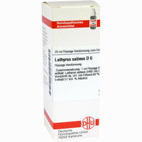 Lathyrus Sativ D6 Dilution 20 ml