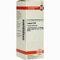 Ledum D30 Dilution 20 ml - ab 7,31 €