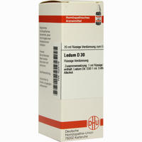 Ledum D30 Dilution 20 ml - ab 7,74 €