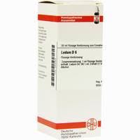 Ledum D6 Dilution 20 ml - ab 8,51 €