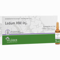 Ledum Hm Inj. Ampullen 50 Stück - ab 12,43 €