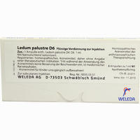Ledum Palustre D6 Ampullen 8 Stück