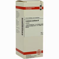 Leonurus Cardiaca Urtinktur Dilution 50 ml