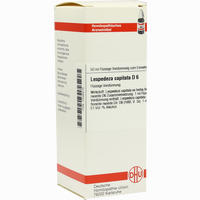 Lespedeza Capitata D6 Dilution 50 ml