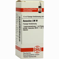 Lm Aesculus Vi Dilution 10 ml