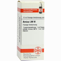 Lm Arnica Vi Dilution 10 ml