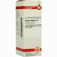 Lobelia Inflata D12 Dilution 20 ml