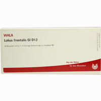 Lobus Frontalis Gl D12 Ampullen 10 x 1 ml