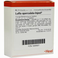 Luffa Operculata- Injeel Ampullen 10 Stück