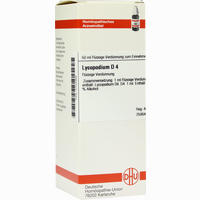 Lycopodium D4 Dilution Dhu-arzneimittel 50 ml