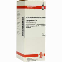 Lycopodium D6 Dilution Dhu-arzneimittel 20 ml - ab 6,82 €