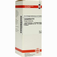 Lycopodium D6 Dilution 50 ml