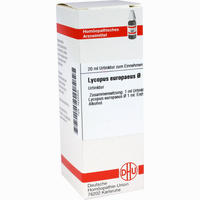 Lycopus Europaeus Urtinktur Dilution 20 ml