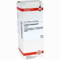 Lycopus Europaeus Urtinktur Dilution 50 ml