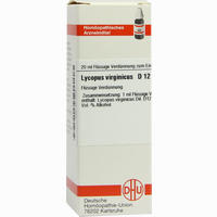 Lycopus Virg D12 Dilution 20 ml - ab 7,19 €