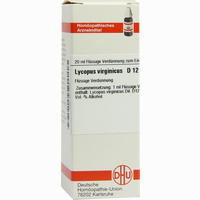 Lycopus Virg D12 Dilution 20 ml - ab 8,40 €