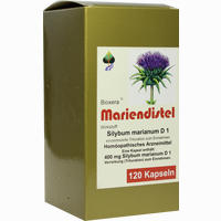 Mariendistel Bioxera 60 Stück - ab 12,88 €