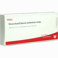 Mesenchym/calc Carb Comp Ampullen 10 x 1 ml - ab 19,26 €