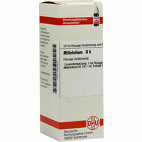 Millefolium D6 Dilution 20 ml