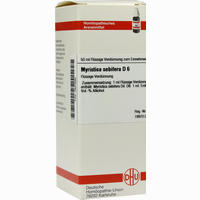 Myristica Sebif D6 Dilution 50 ml