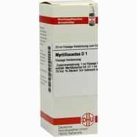 Myrtillocactus D 1 Dilution 20 ml - ab 8,26 €